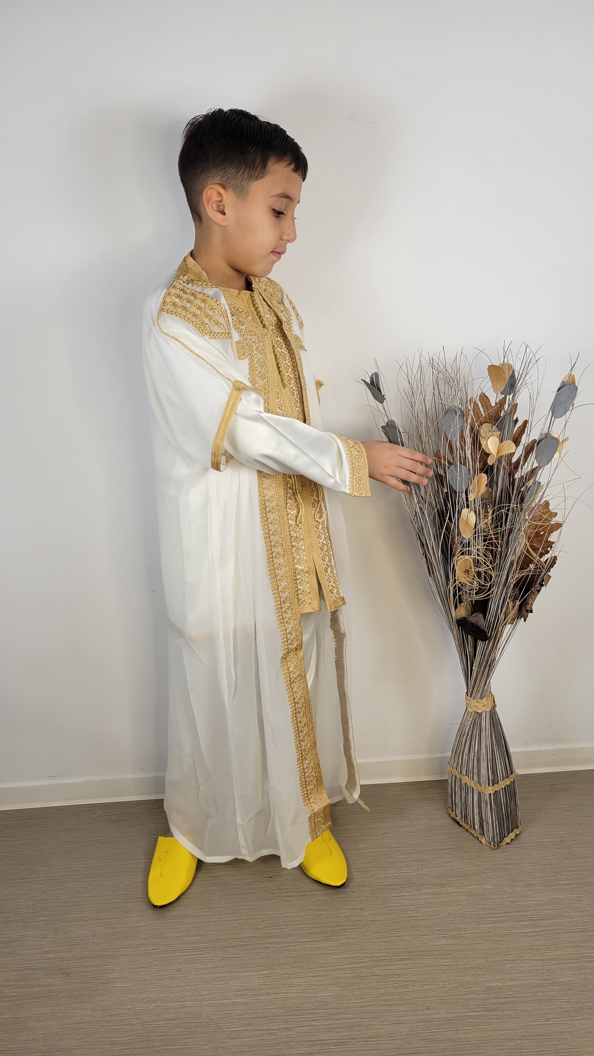 Jabador Royal Adolescent