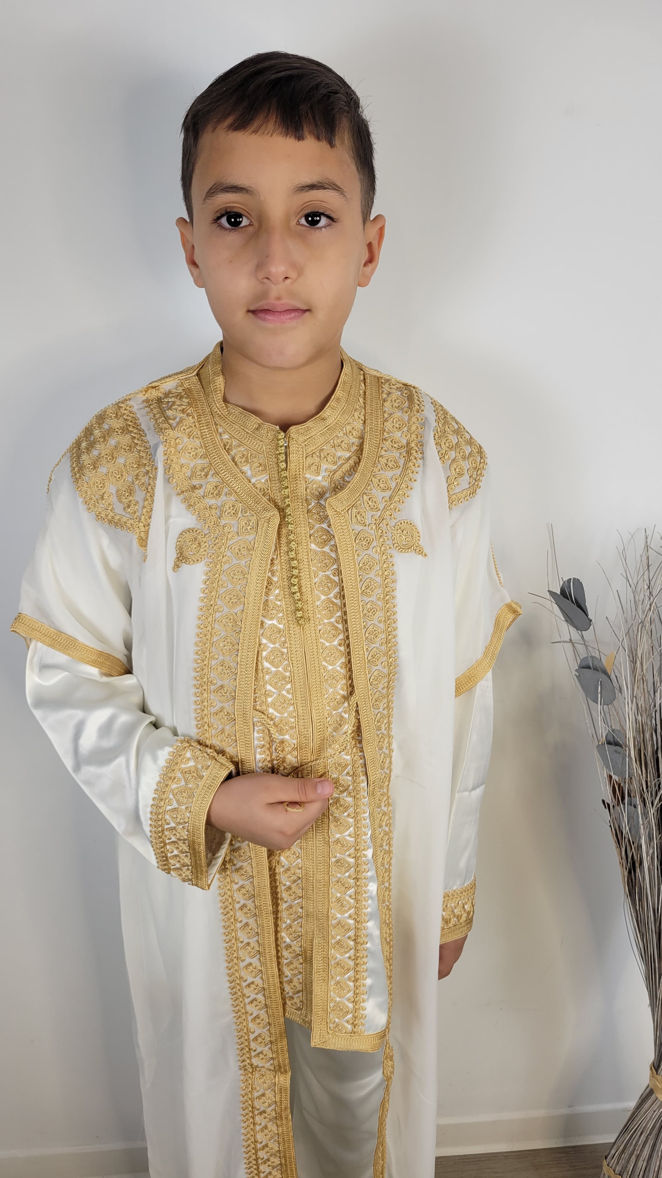 Jabador Royal Adolescent