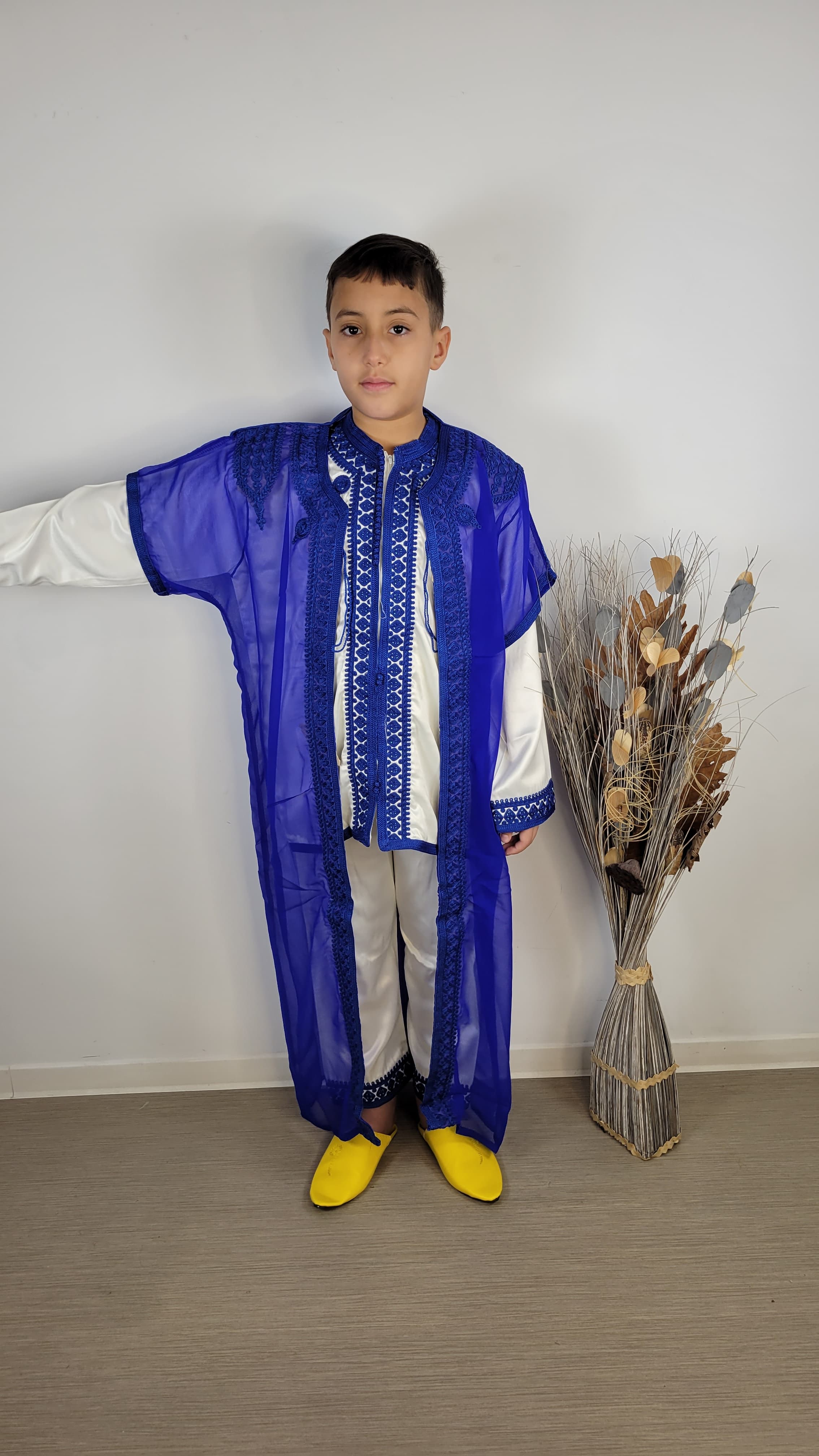 Jabador Royal Adolescent