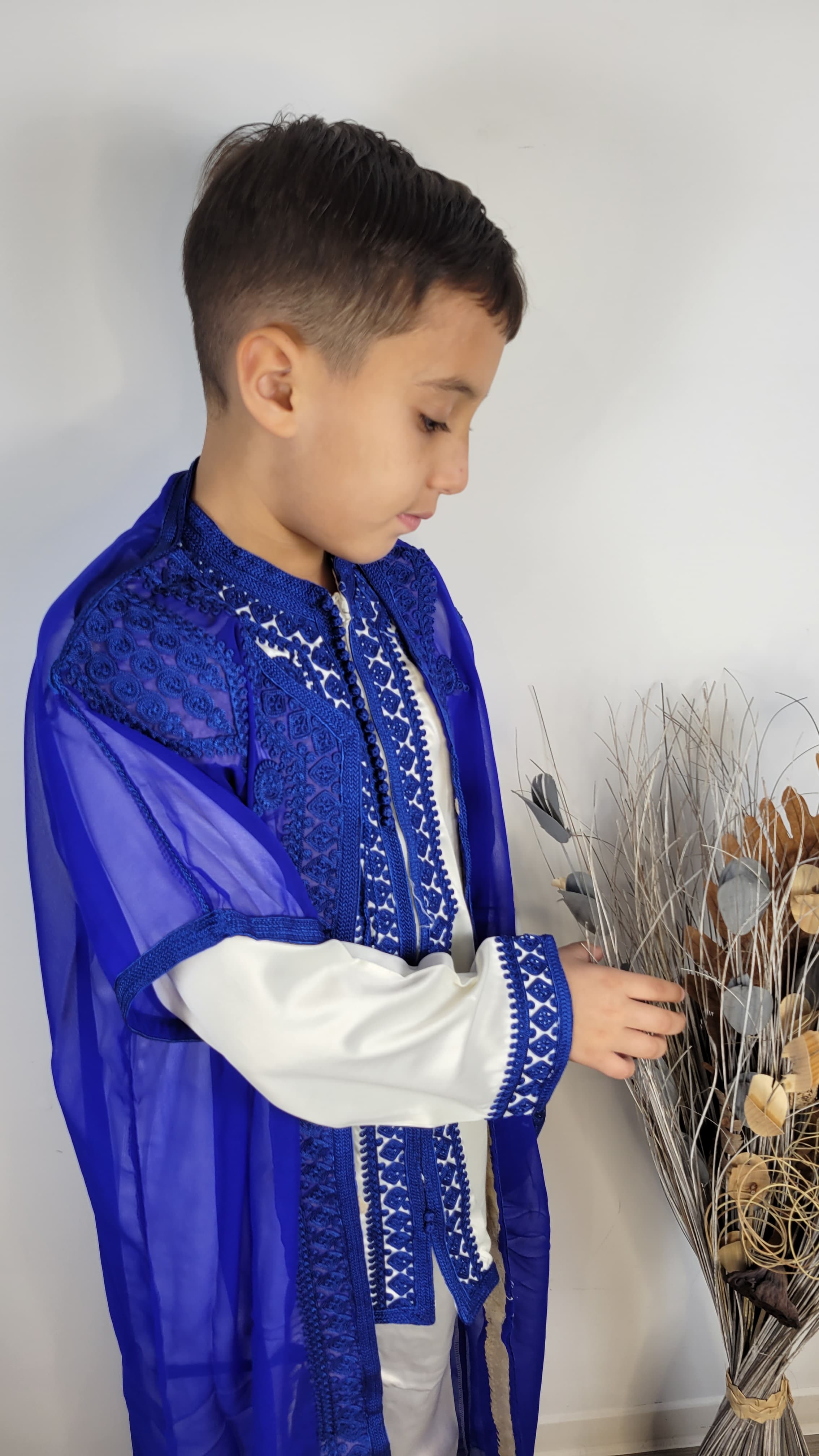 Jabador Royal Adolescent