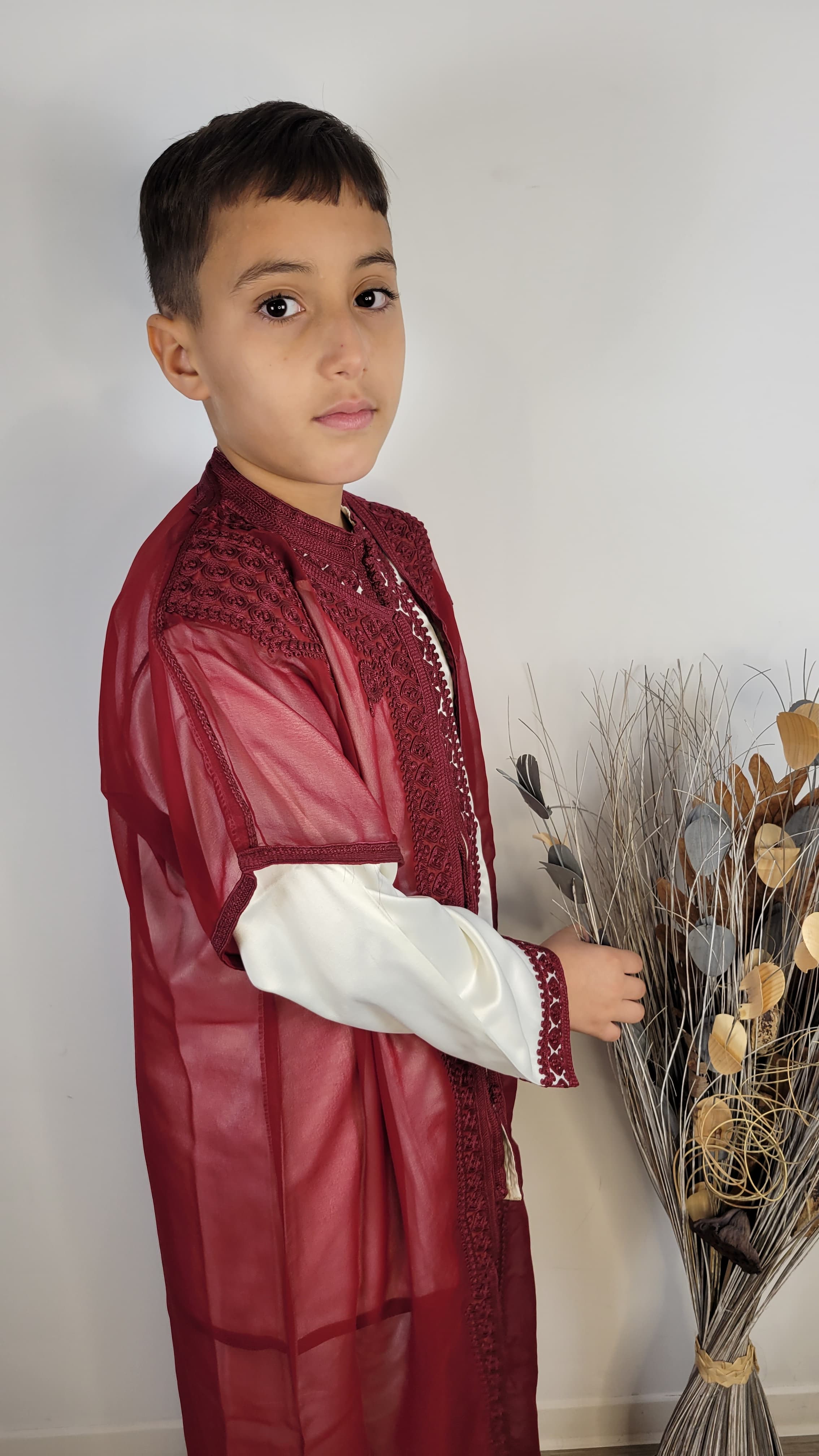 Jabador Royal Adolescent